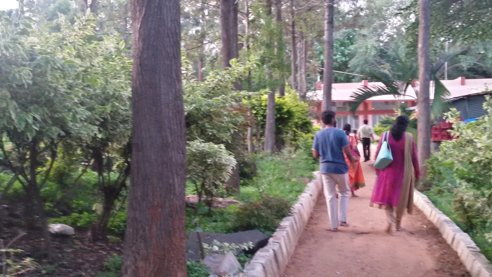 भारत के पार्क में लोग चलते हुए